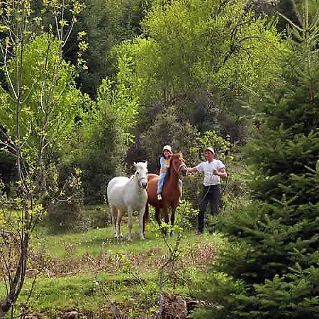 Гостевой дом To Panorama *